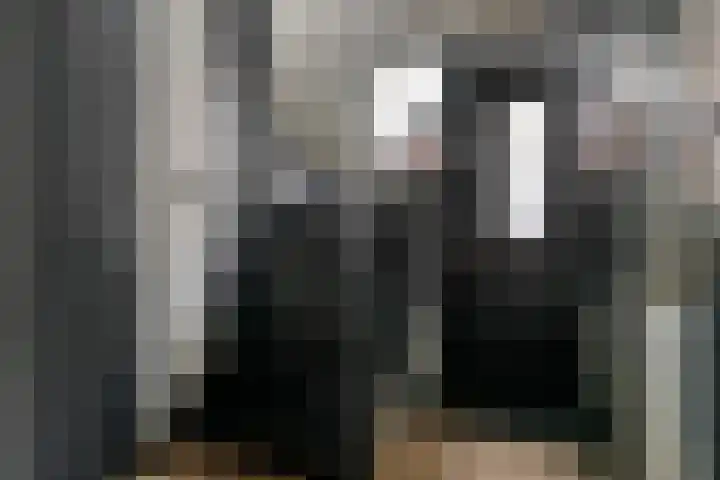 Denariusstraat 3 Tiel thumbnail 15