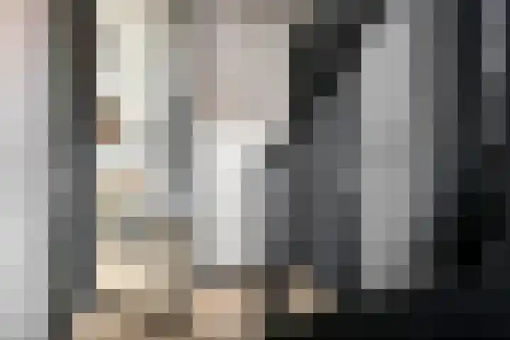 Denariusstraat 3 Tiel thumbnail 16