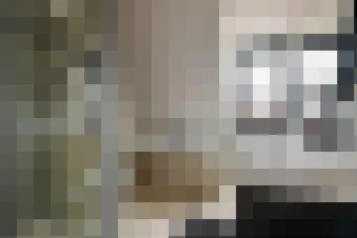 Denariusstraat 3 Tiel thumbnail 19