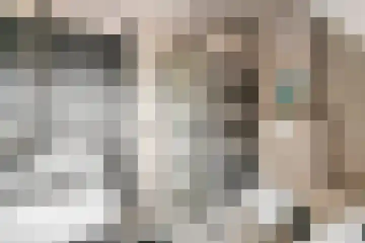Denariusstraat 3 Tiel thumbnail 20