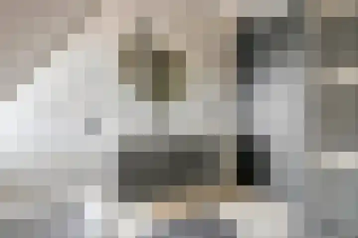 Denariusstraat 3 Tiel thumbnail 21