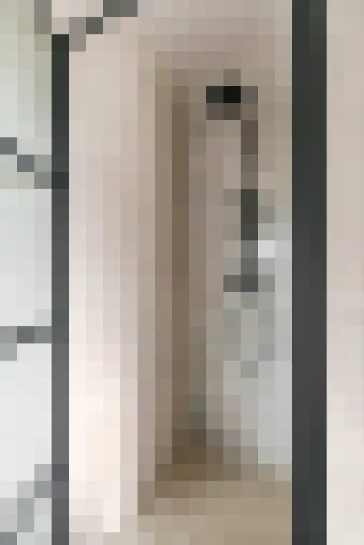 Denariusstraat 3 Tiel thumbnail 22
