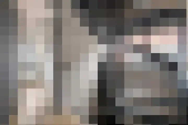 Denariusstraat 3 Tiel thumbnail 25
