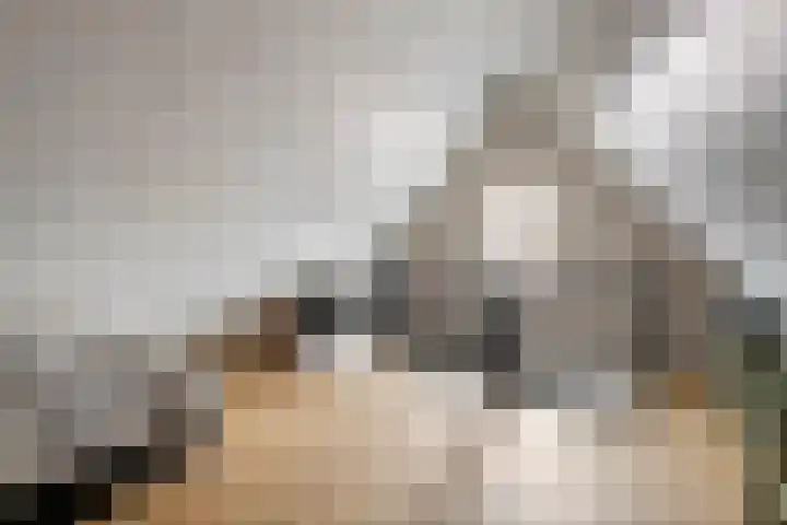 Denariusstraat 3 Tiel thumbnail 28