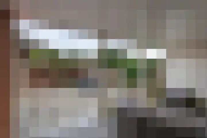 Denariusstraat 3 Tiel thumbnail 31