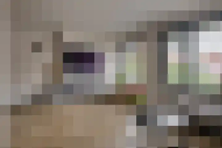 Denariusstraat 3 Tiel thumbnail 5