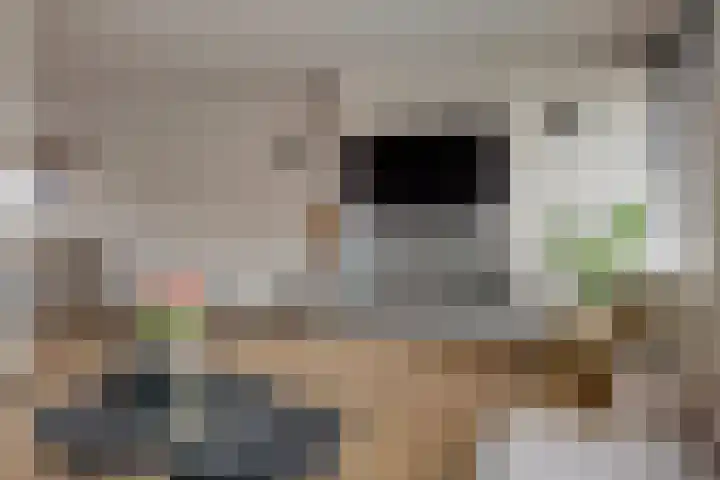 Denariusstraat 3 Tiel thumbnail 6