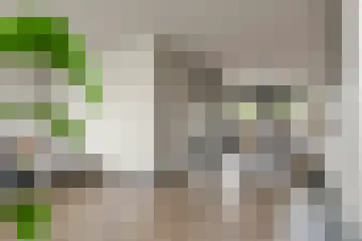 Denariusstraat 3 Tiel thumbnail 7