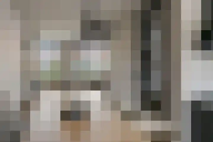 Denariusstraat 3 Tiel thumbnail 8