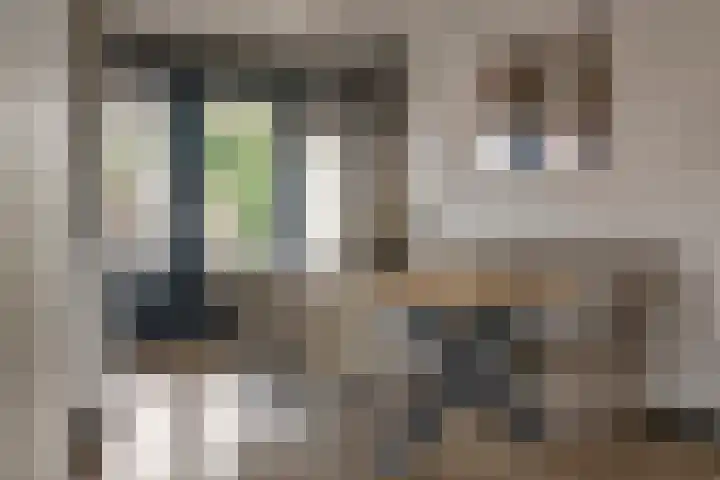 Denariusstraat 3 Tiel thumbnail 9