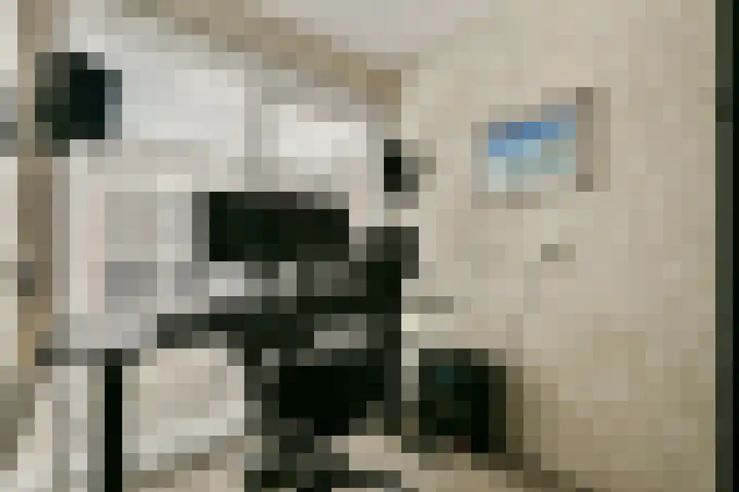 Denderhof 15 Amsterdam thumbnail 12