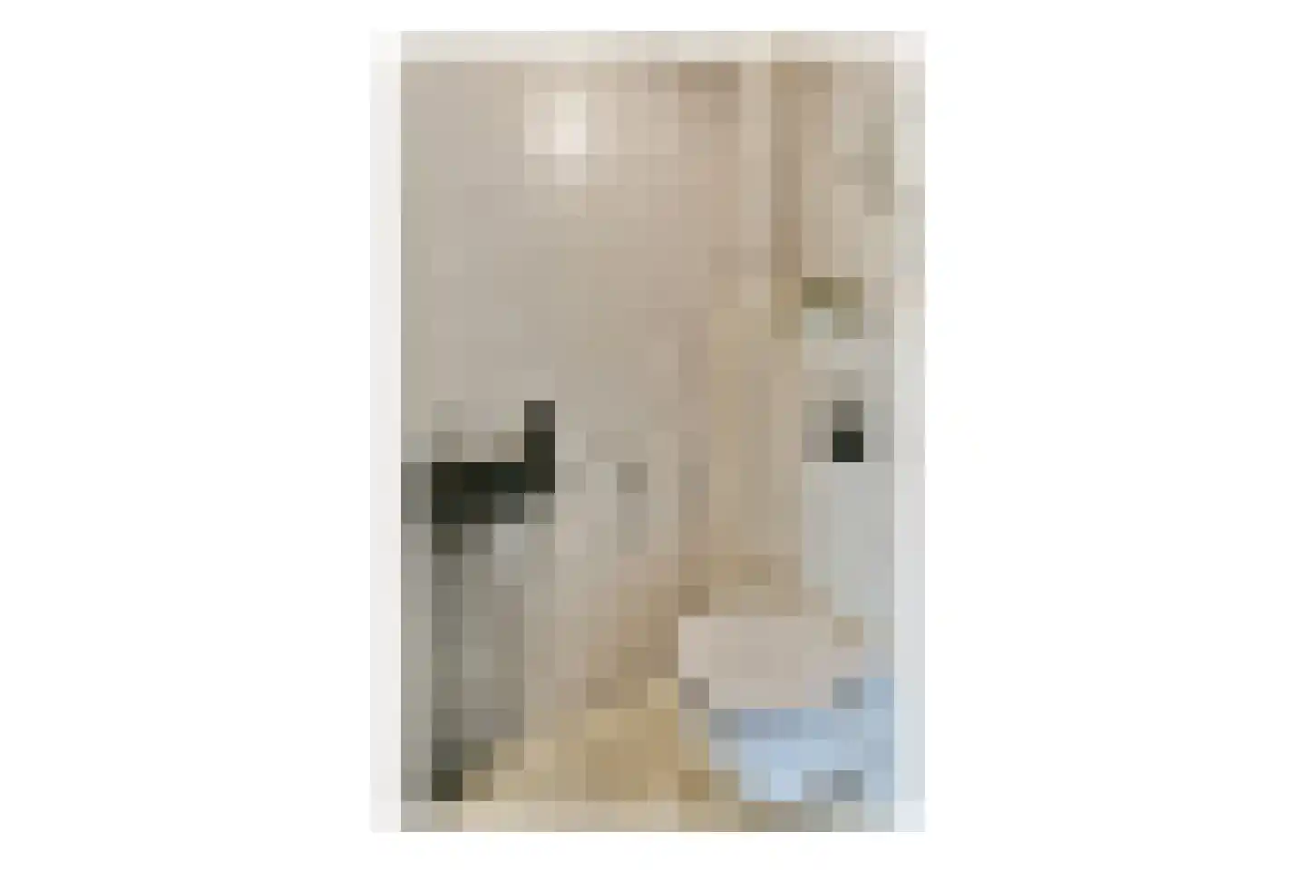 Denderhof 15 Amsterdam thumbnail 13
