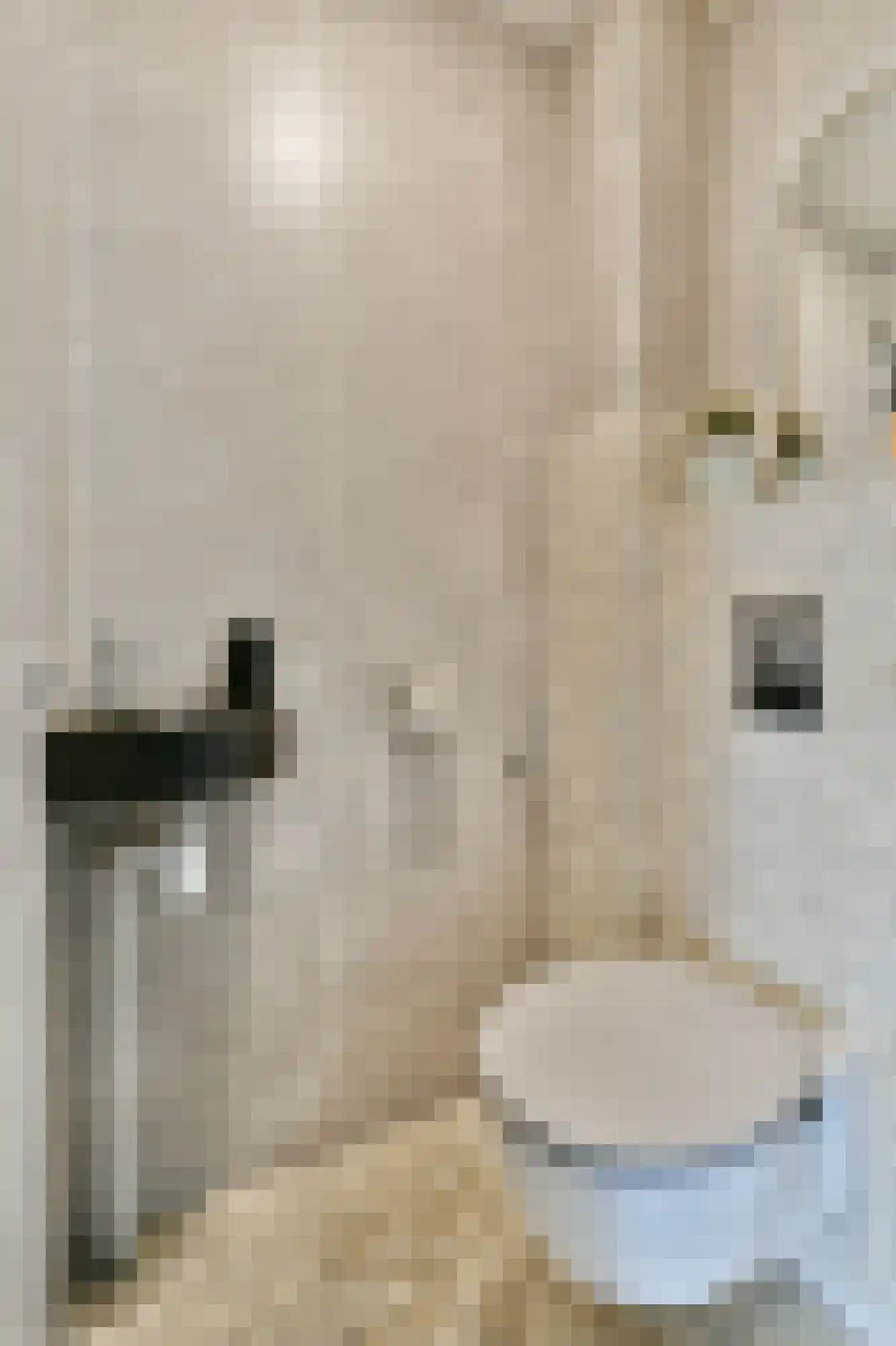 Denderhof 15 Amsterdam thumbnail 14