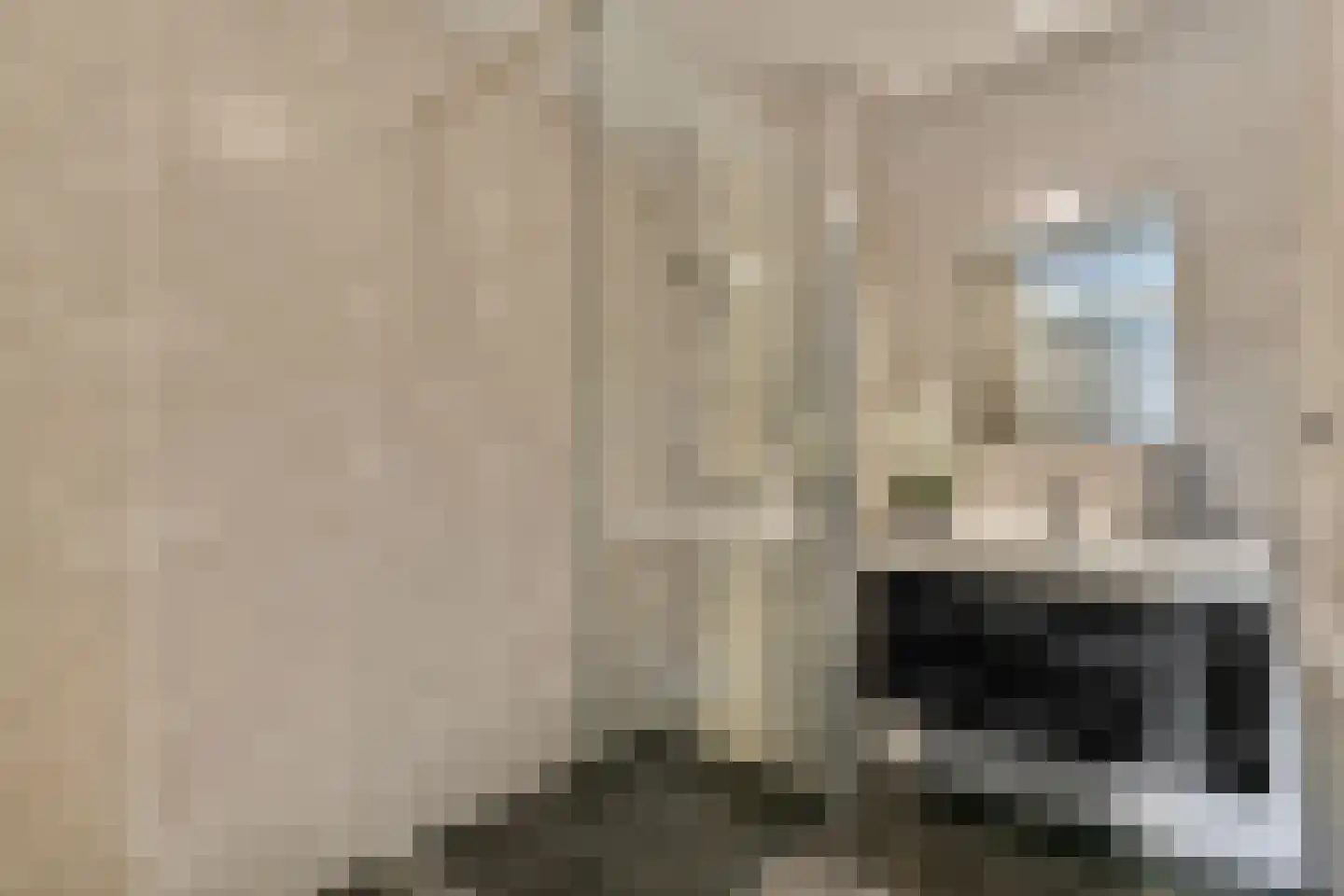 Denderhof 15 Amsterdam thumbnail 17