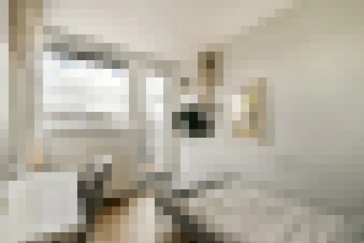 Denderhof 15 Amsterdam thumbnail 19
