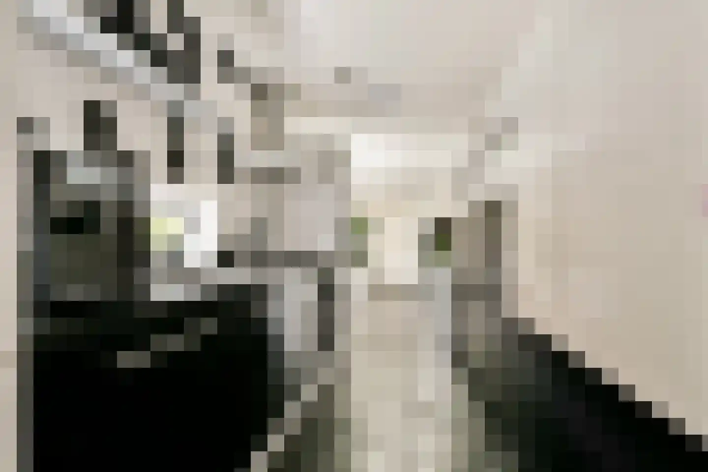 Denderhof 15 Amsterdam thumbnail 7