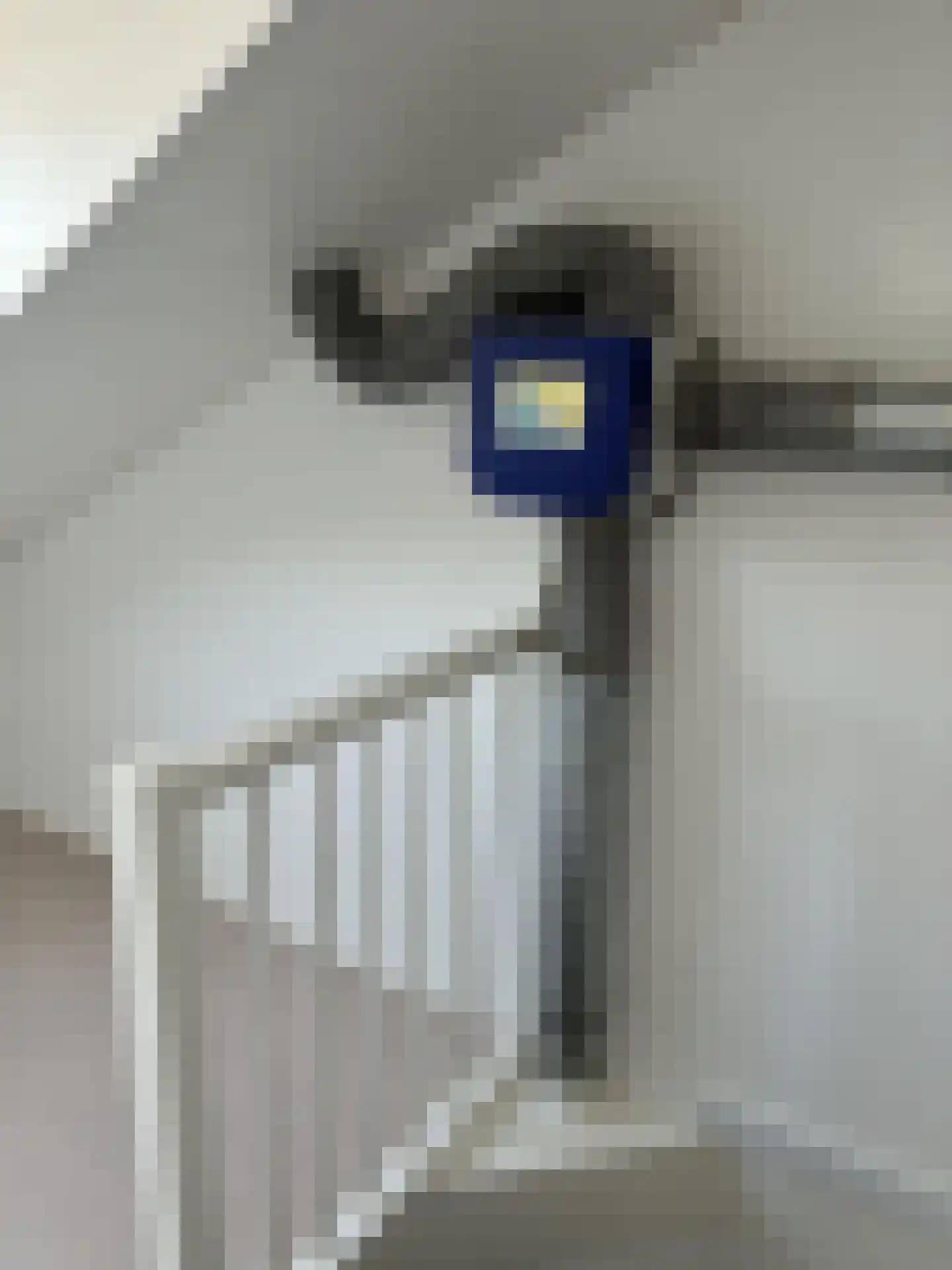 Dendermondestraat 15 Breda thumbnail 21