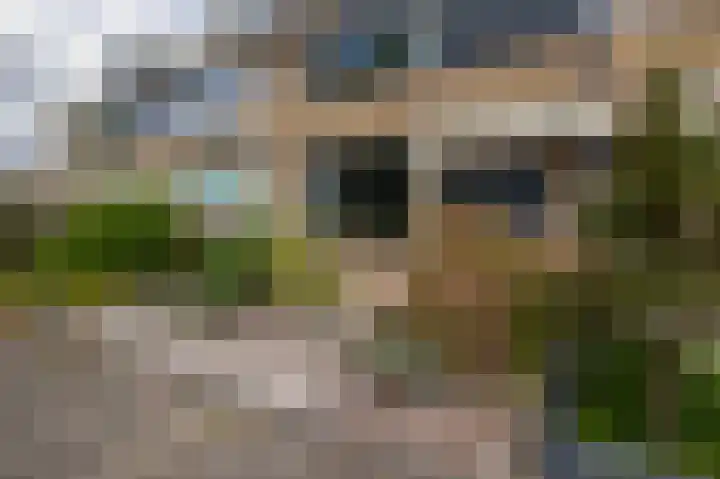 Denebstraat 26 Spijkenisse thumbnail 10