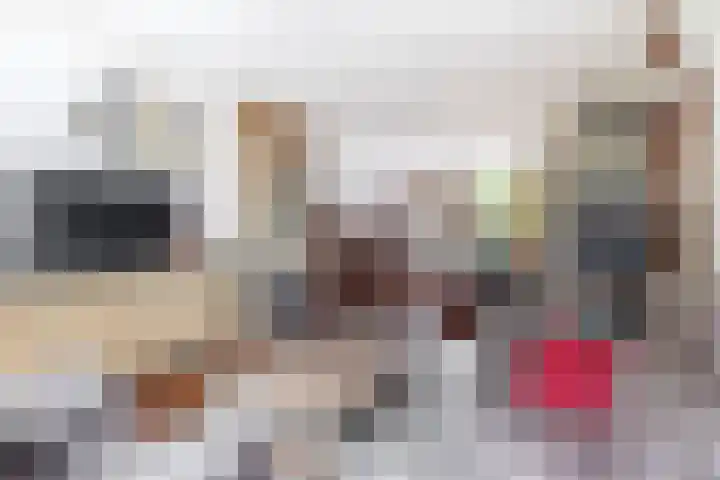Denebstraat 26 Spijkenisse thumbnail 16
