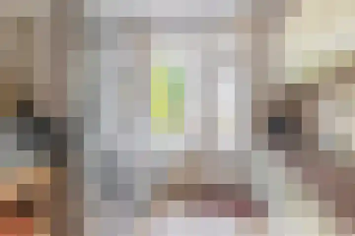 Denebstraat 26 Spijkenisse thumbnail 22