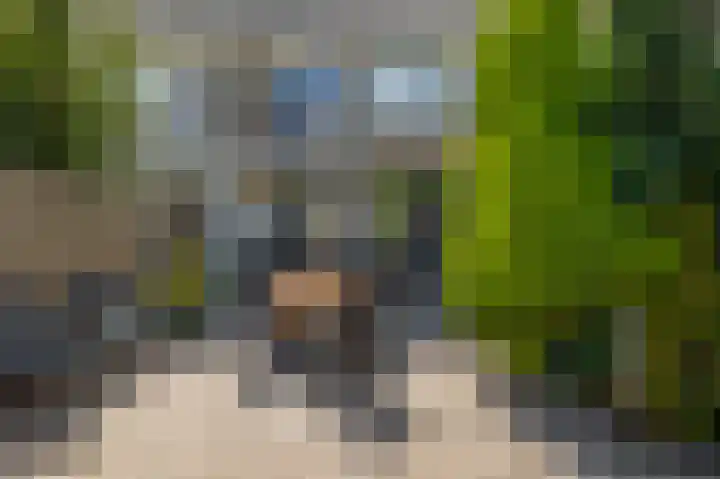 Denebstraat 26 Spijkenisse thumbnail 4