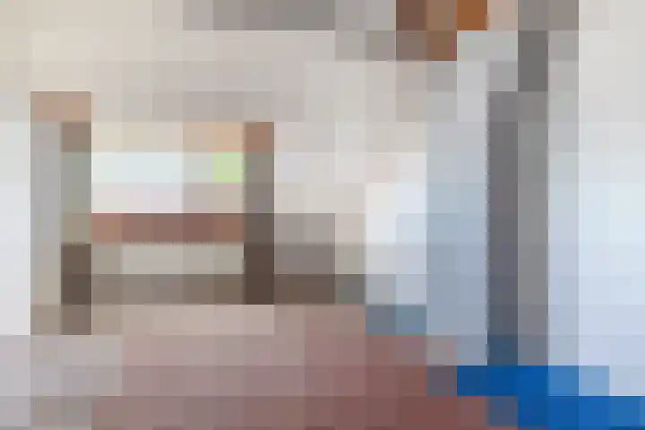 Denebstraat 26 Spijkenisse thumbnail 43