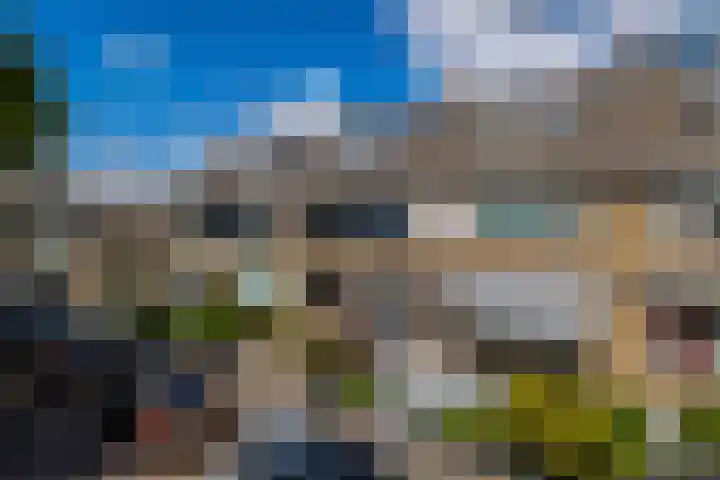 Denebstraat 26 Spijkenisse thumbnail 9