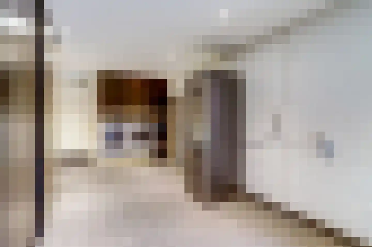 Deneburg 12 Reusel thumbnail 19