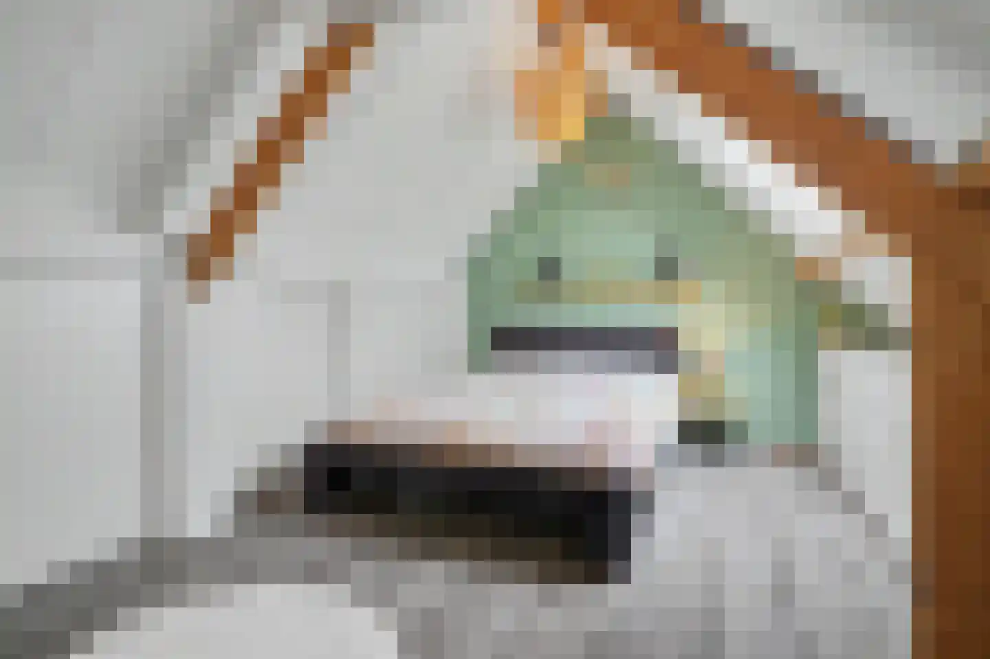Deneburg 12 Reusel thumbnail 32