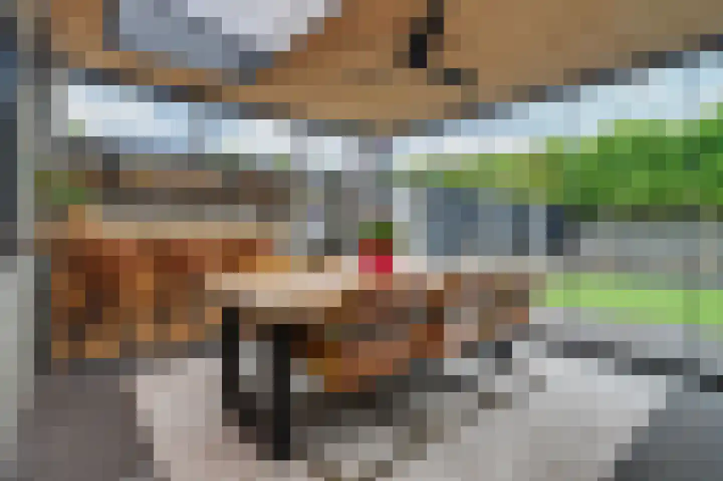 Deneburg 12 Reusel thumbnail 33