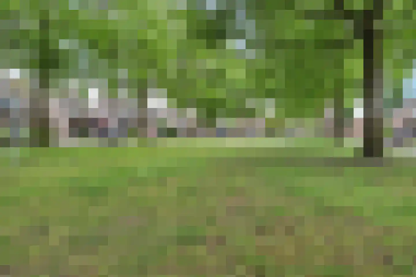 Deneburg 12 Reusel thumbnail 43