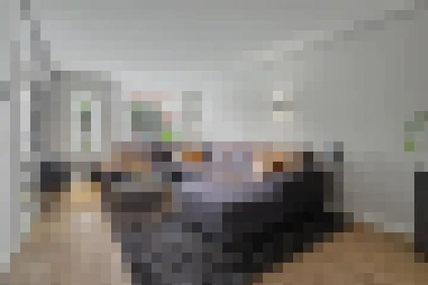 Deneburg 12 Reusel thumbnail 7