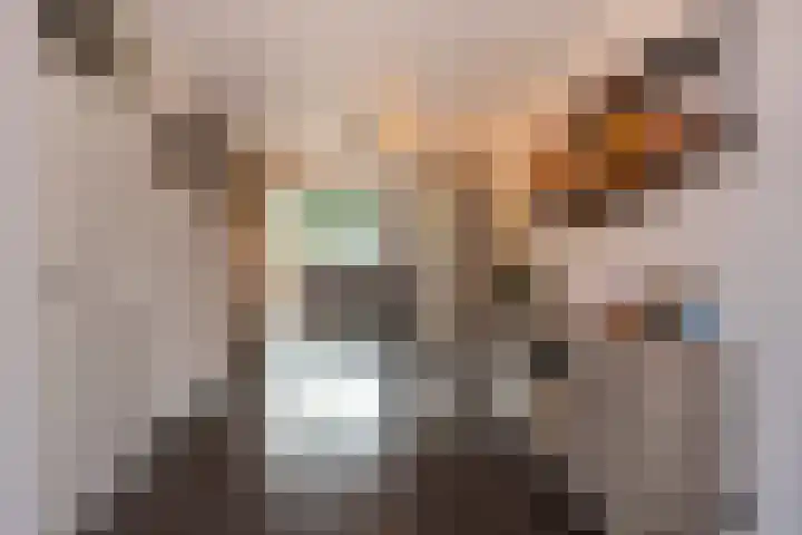 Deneburg 22 Reusel thumbnail 10