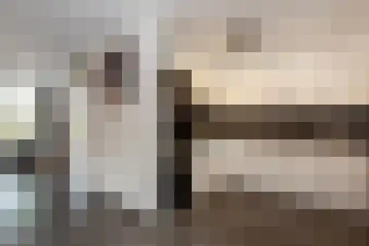 Deneburg 22 Reusel thumbnail 11