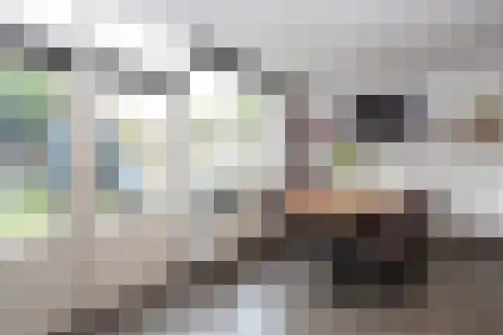 Deneburg 22 Reusel thumbnail 13