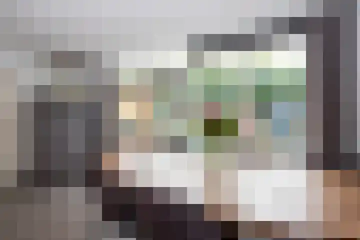 Deneburg 22 Reusel thumbnail 14