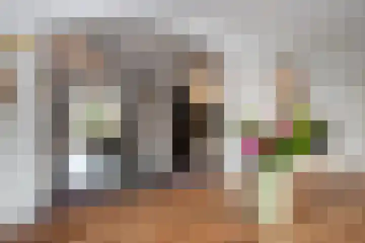 Deneburg 22 Reusel thumbnail 15