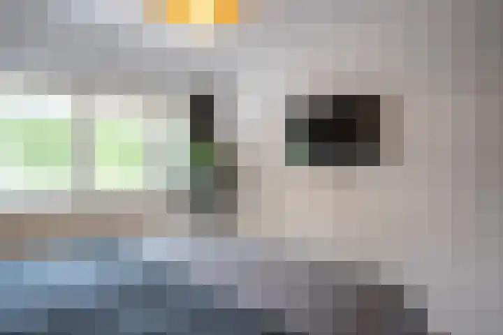 Deneburg 22 Reusel thumbnail 17