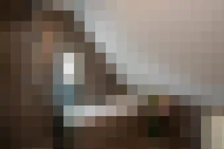 Deneburg 22 Reusel thumbnail 20