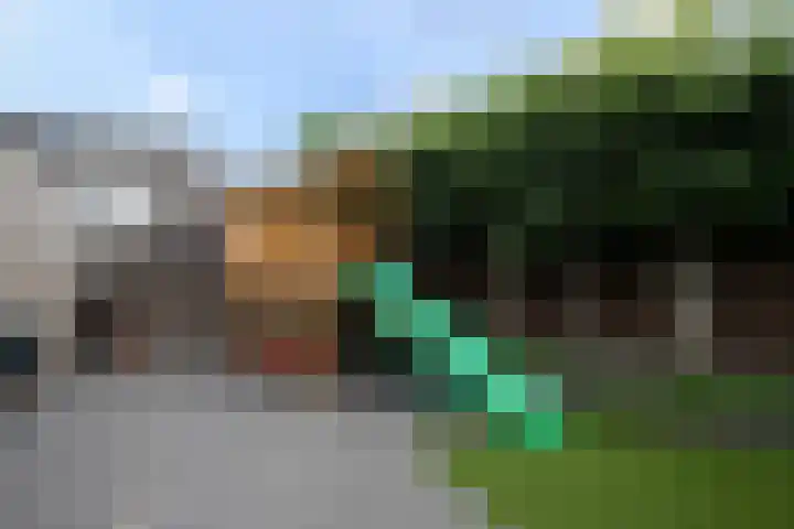 Deneburg 22 Reusel thumbnail 26