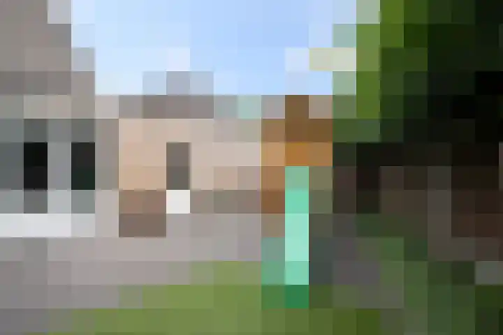 Deneburg 22 Reusel thumbnail 27