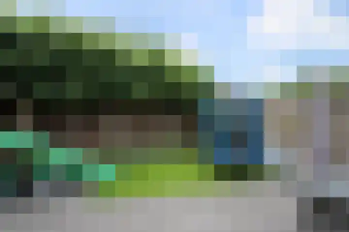 Deneburg 22 Reusel thumbnail 29