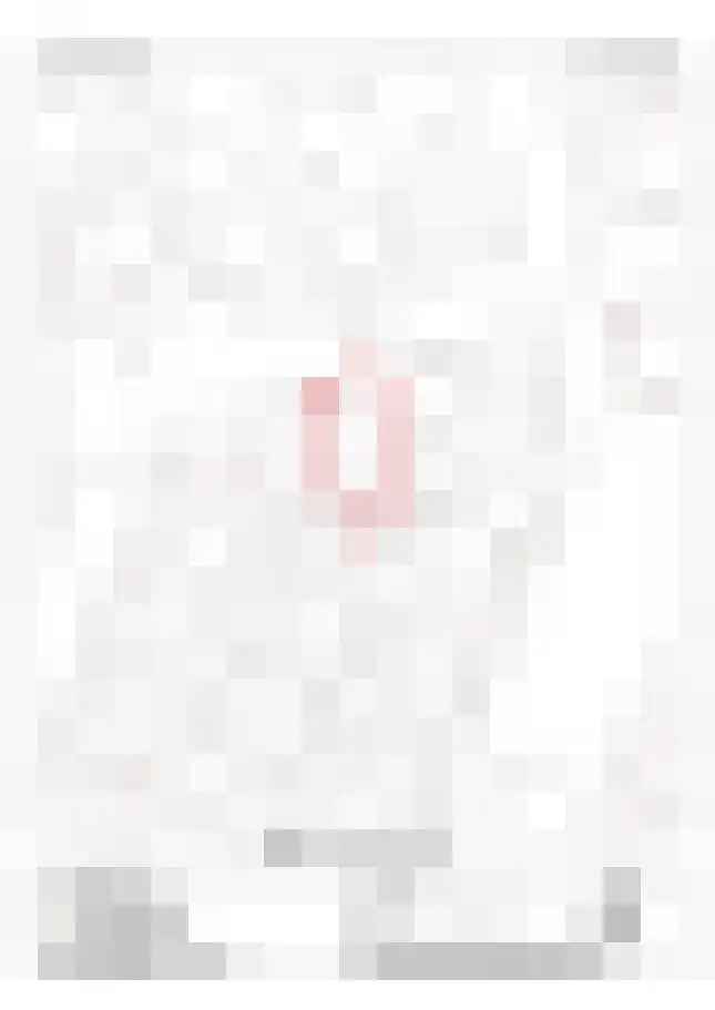 Deneburg 22 Reusel thumbnail 33