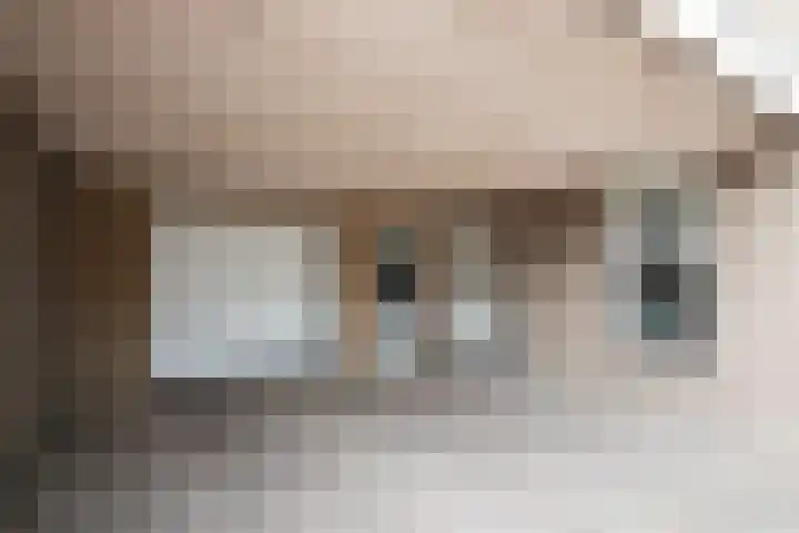 Deneburg 22 Reusel thumbnail 4