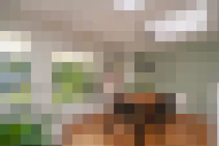 Deneburg 6 Reusel thumbnail 11