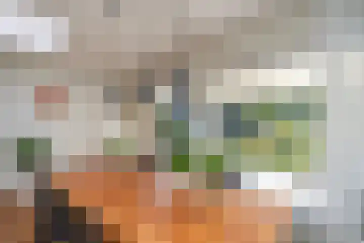 Deneburg 6 Reusel thumbnail 12