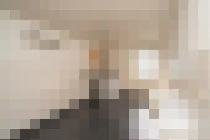 Deneburg 6 Reusel thumbnail 17