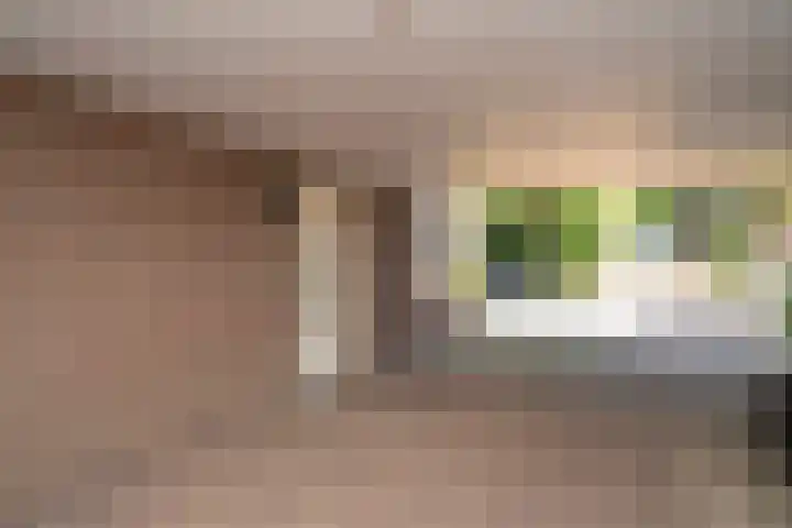 Deneburg 6 Reusel thumbnail 23