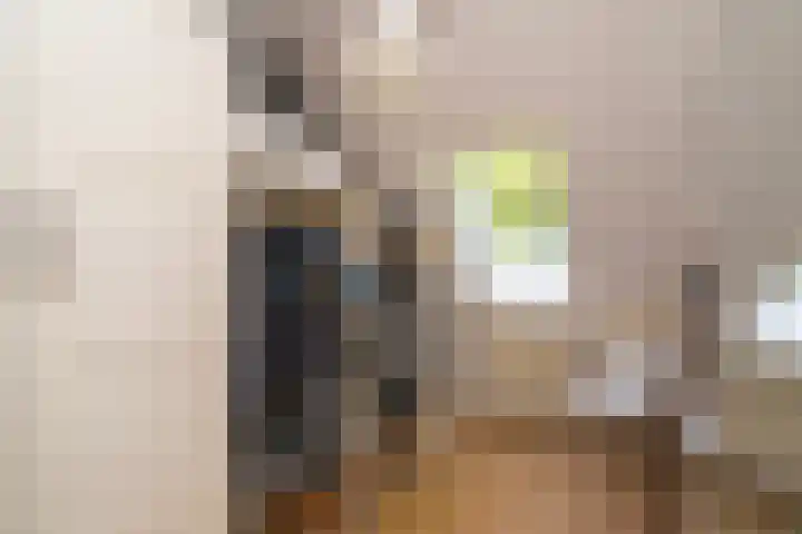 Deneburg 6 Reusel thumbnail 31