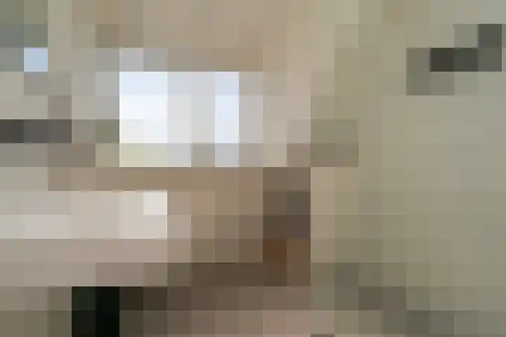 Deneburg 6 Reusel thumbnail 38